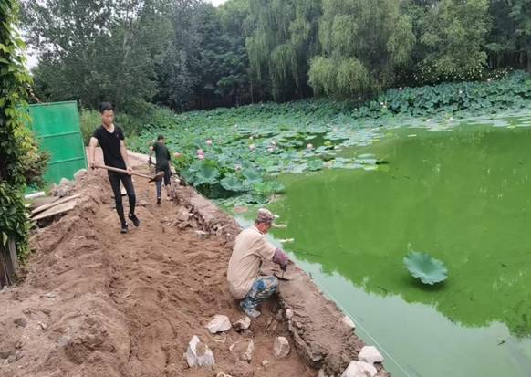微信图片_20250820155800_15